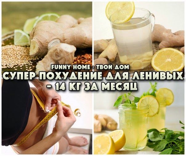 Как похудеть для ленивых отзывы Как похудеть для ленивых отзывы