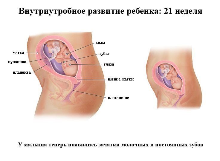 28 неделя беременности малыш меньше стал шевелиться