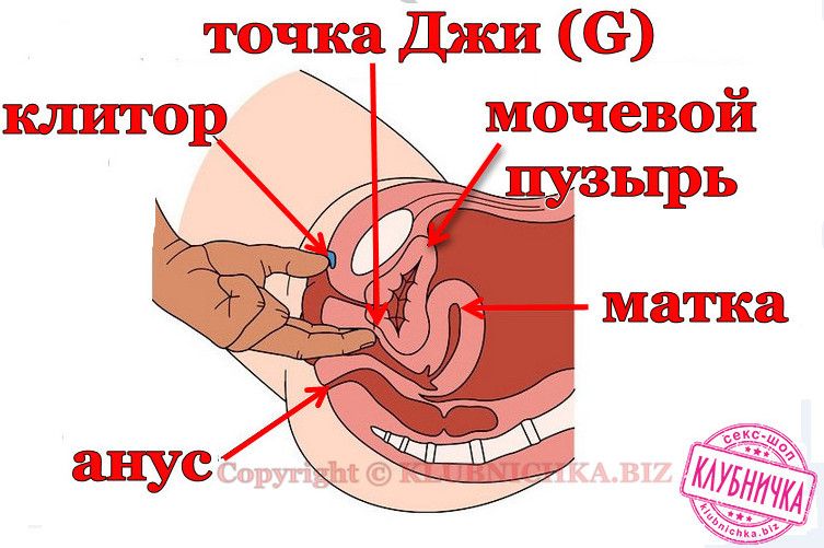 Анальный секс в первый раз больно ли 5