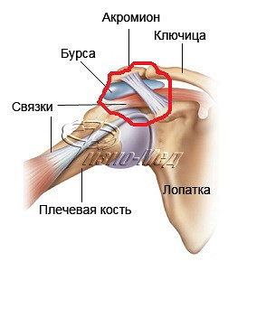 Болит левая лопатка сустав Болит левая лопатка сустав