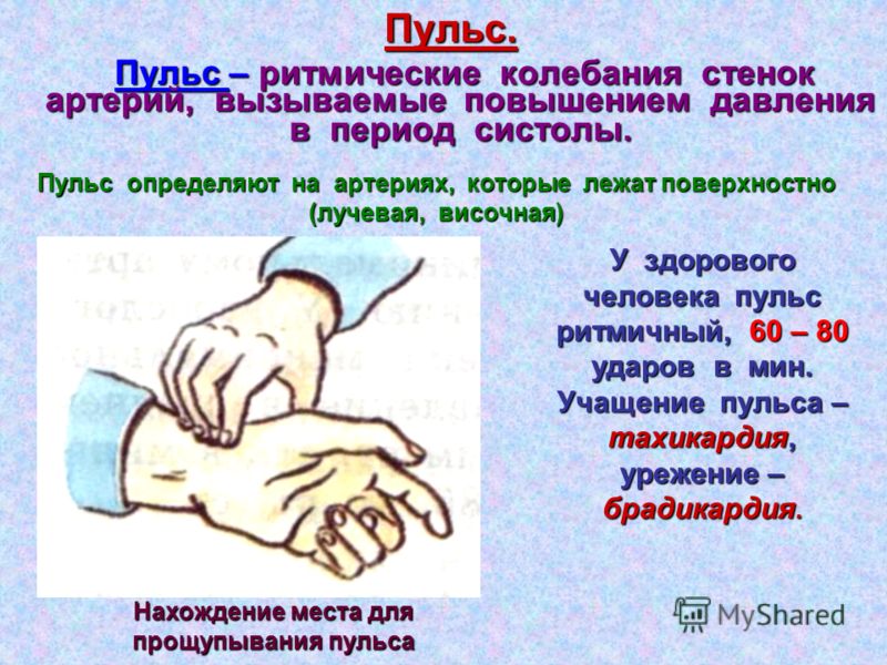 Пульс как связан с давлением Пульс как связан с давлением