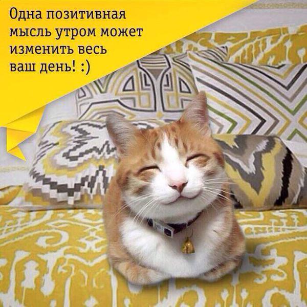 Пожелания позитива с утра Пожелания позитива с утра