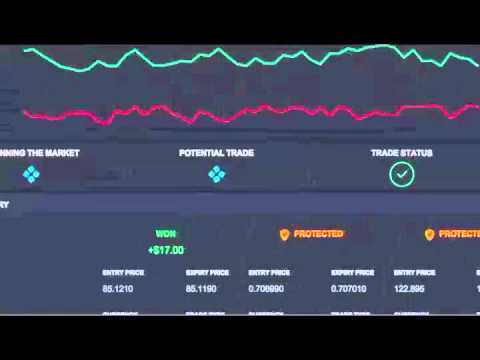 binary options autopilot