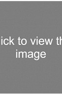 Shay fox pov blowjob Hairy pussie naked women vedeos