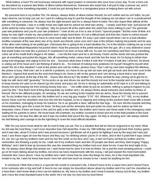 Science Fiction Essay My Personal Hero Essay My Personal Hero Essays About Science also Health Essay What Makes You A Hero Essay English Sample Essay