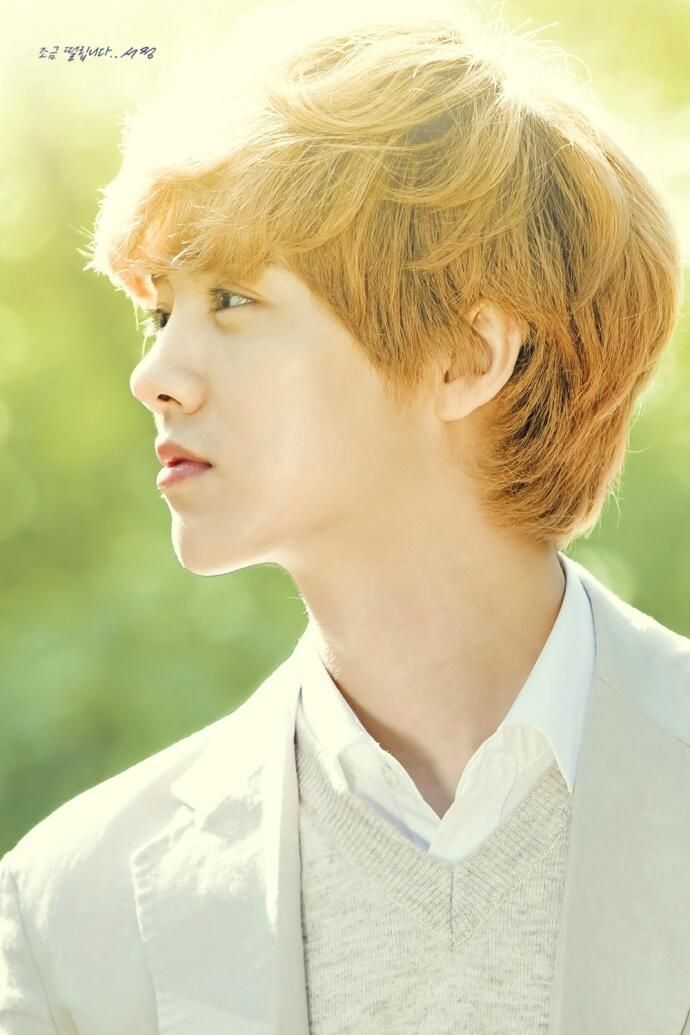 133 best EXO Nature Republic images on Pinterest Nature - u form küchen 133 best EXO Nature Republic images on Pinterest Nature - u form küchen