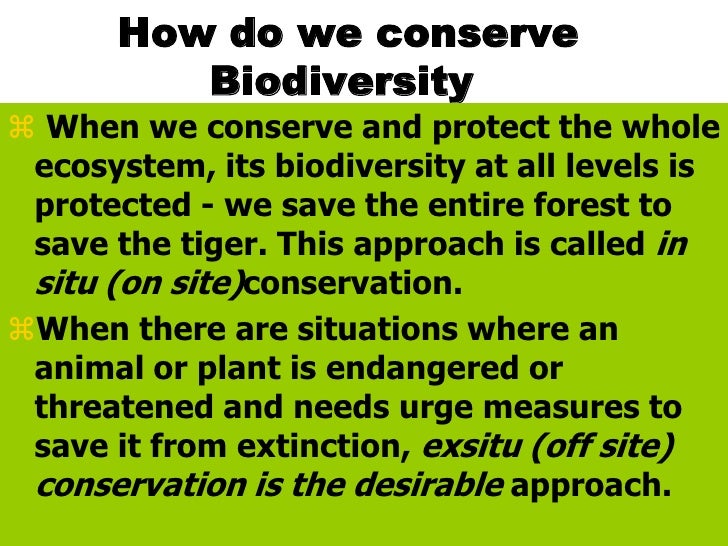 Essay Terrorism Bio Diversity Essay Essay About Biodiversity Conservation Initiatives Essay Writing Tips To Essay On Conservation Of Biodiversity Essay On Biodiversity Of Essay Of Book also Sample Nursing School Essays Bio Diversity Essay Essay About Biodiversity Conservation What Is A Role Model Essay