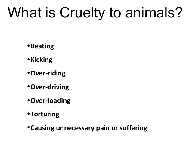 Ways to prevent animal abuse essay