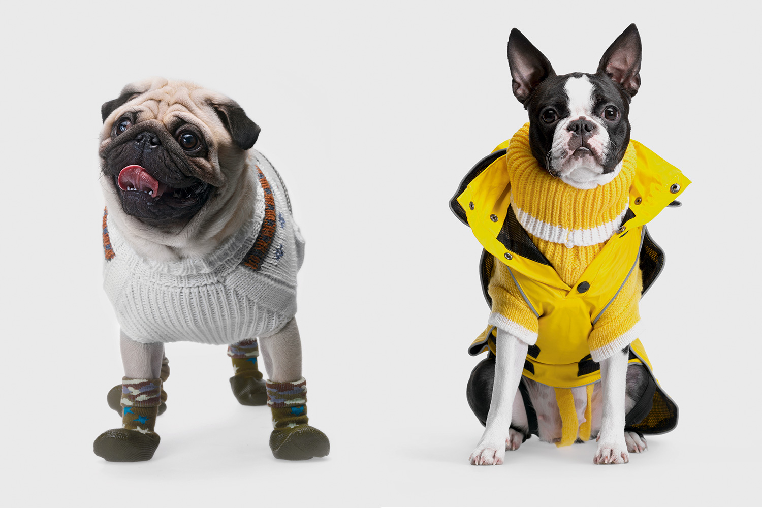 Афиша Город: Комбинезон «Тузик» и другая зимняя одежда для собак – Архив