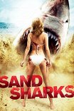 Песчаные акулы / Sand Sharks