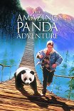 Удивительные приключения панды / The Amazing Panda Adventure