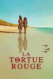 Красная черепаха / La tortue rouge