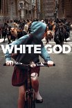 Белый бог / Fehér Isten