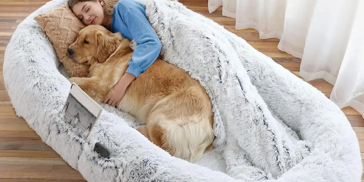Собачий кайф (безопасная версия!): попробуйте поспать в огромной лежанке