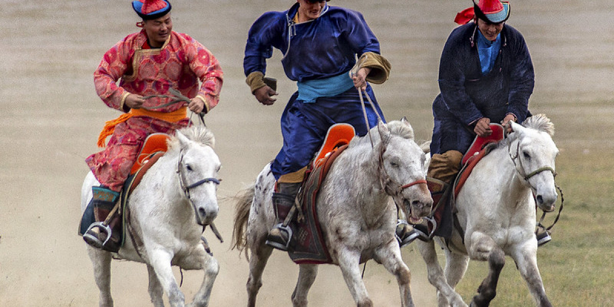«Монгольский ответ хоббихорсингу»: В Улан-Баторе прошел рейв с конями