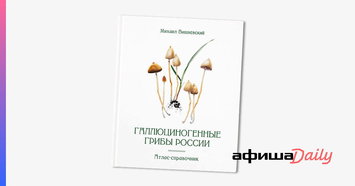 Россиян предостерегли от выращивания ряда грибов на даче: Дом: Среда обитания: chylanchik.ru