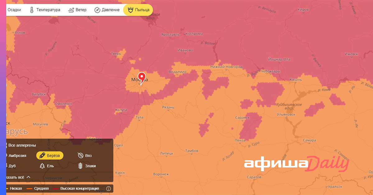 Пыльца прогноз для аллергиков. Карта пыльцы. Карта пыльцы Москва.