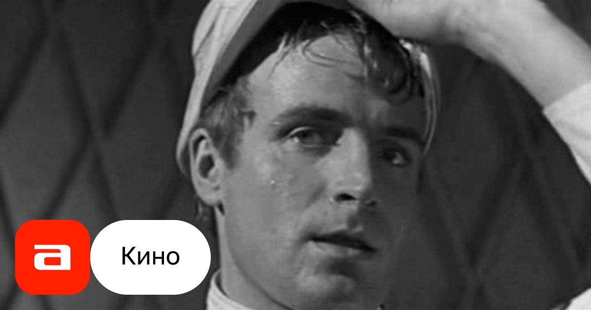 Animal Stak ������: ����.