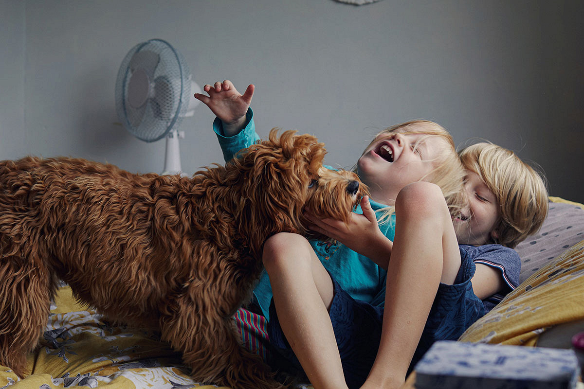 Развитие социальных навыков и эмоциональная поддержка