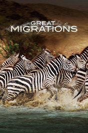 Великие миграции / Great Migrations