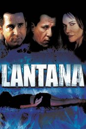 Лантана / Lantana
