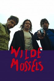 Дикие мидии / Wilde mossels