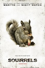 Белки / Squirrels