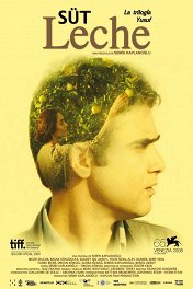 Молоко / Süt