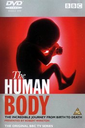 Тело человека / The Human Body