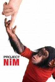 Проект «Ним» / Project Nim