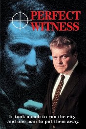 Идеальный свидетель / Perfect Witness