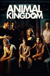 По волчьим законам / Animal Kingdom