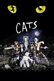 Кошки / Cats