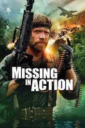Без вести пропавшие / Missing in Action
