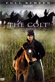 Жеребенок / The Colt