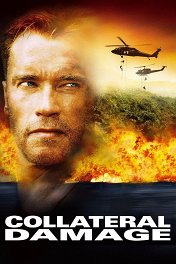 Возмещение ущерба / Collateral Damage