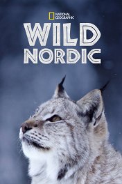 Дикая Скандинавия / Wild Nordic