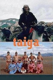 Тайга / Taiga
