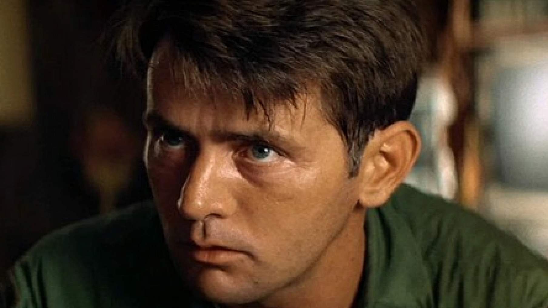 Мартин Шин (Martin Sheen) биография, фильмы, спектакли, фото | Afisha.ru