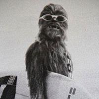 Фото Юрий Кочергин