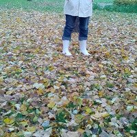 Фото Ирина Волк