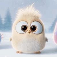 Фото Cute Bird