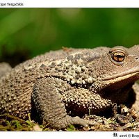 Фото Максим Болотов
