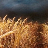 Фото Татьяна Федорчук