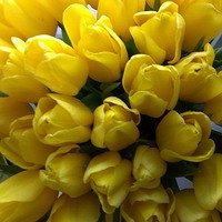 Фото Гала Лазыкина
