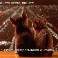 Фото Тайна