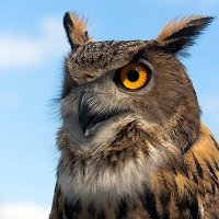 Фото Светлана Воронцова