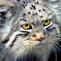 Фото Максим Котовский