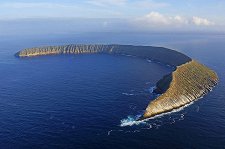 Галапагосы: Зачарованные острова – афиша