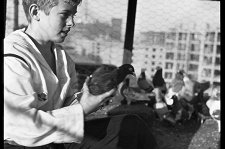 Стэнли Кубрик. Истории в фотографиях 1945–1950-х годов – афиша